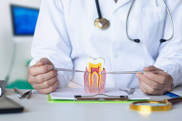 Best Broken Tooth Emergency  in Hamilton, MT